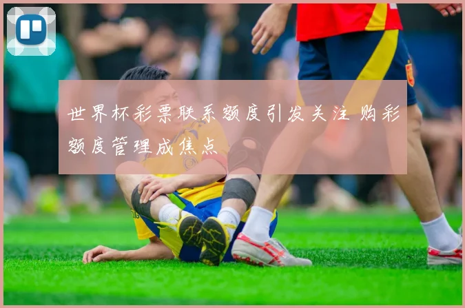 世界杯彩票联系额度引发关注 购彩额度管理成焦点