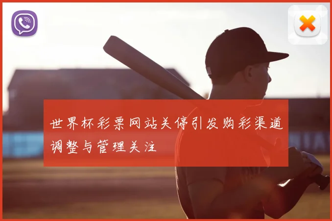 世界杯彩票网站关停引发购彩渠道调整与管理关注